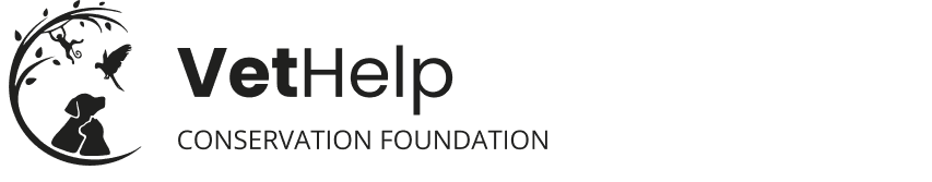 Foundation Logo